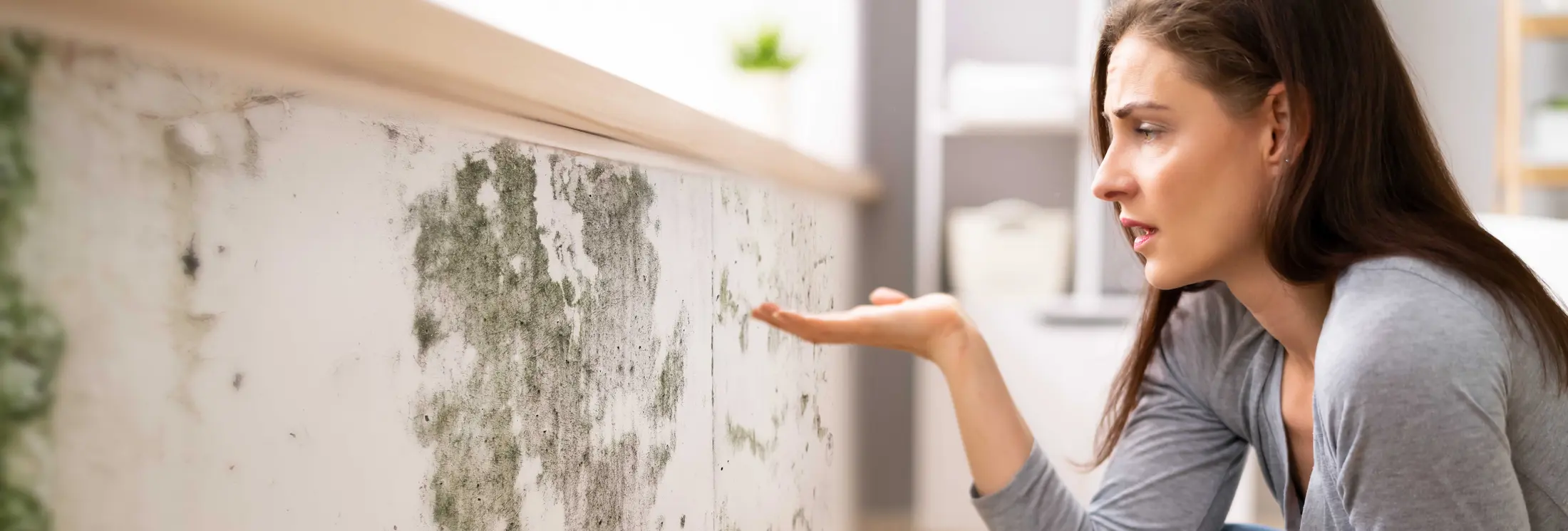 Fallrohrsanierung Regensburg Fallrohrsanierung Regensburg